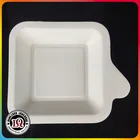 Sugarcane Cake Tray Eco Friendly for Wholesale