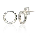 Korean 925 pure silver zircon flower delicate earrings 2019 new niche design sense patchwork round earrings