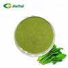 /product-detail/spinach-powder-watersoluble-spinach-powder-extract-1613519073.html