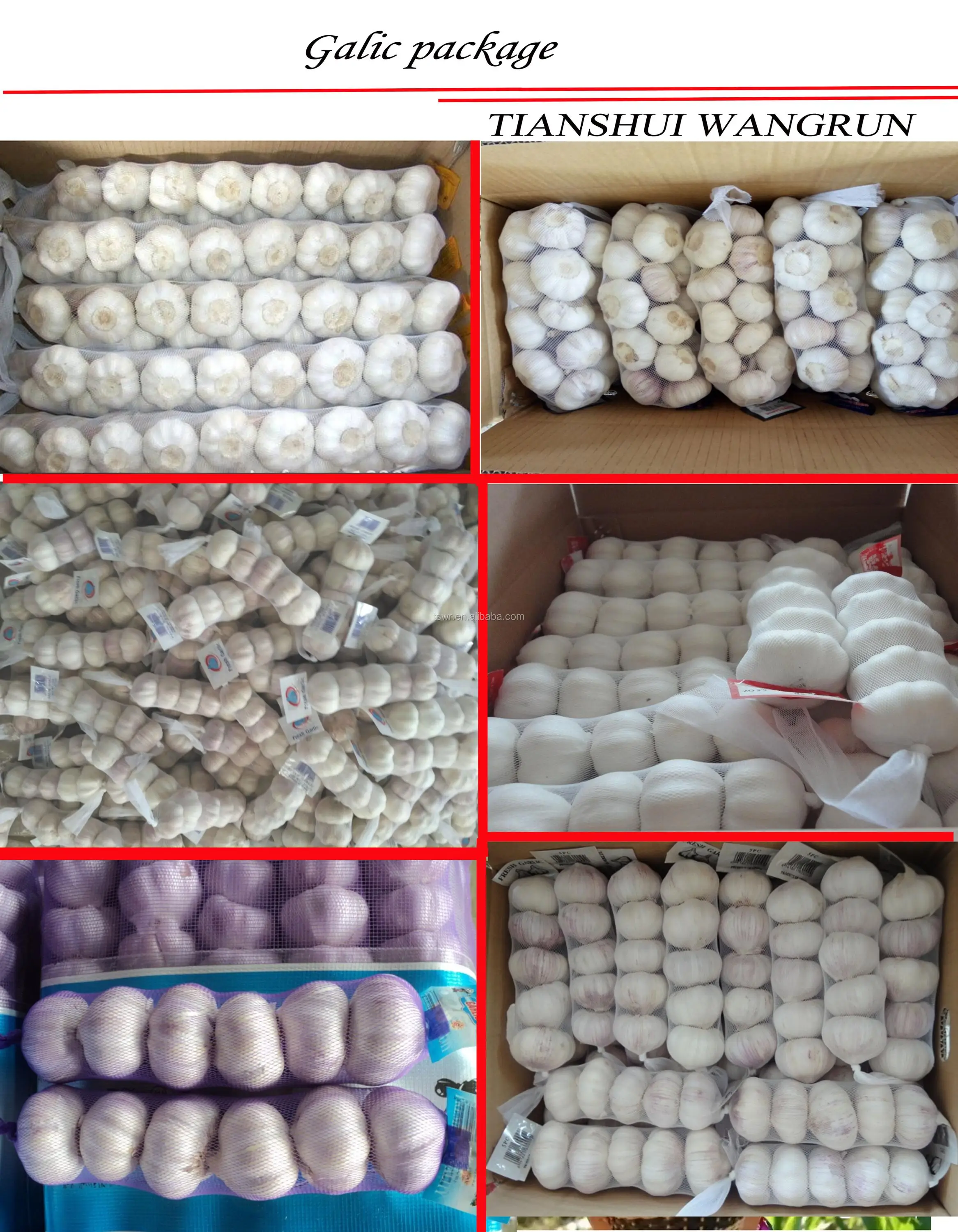 new season chinese fresh garlic from shandong origin