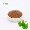 /product-detail/gmp-certified-raw-material-ginkgo-biloba-extract-60853842432.html