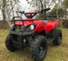 /product-detail/newest-kid-electric-800w-mini-atv-for-sale-60737140421.html
