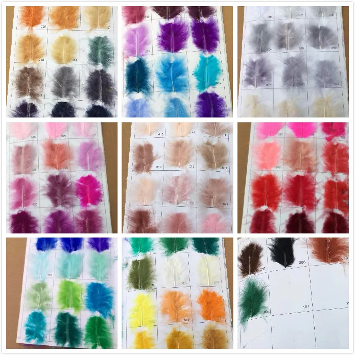color chart.jpg