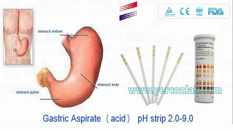 gastric acid pH.jpg 1