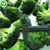 /product-detail/hot-sale-best-grade-organic-vegetables-frozen-broccoli-60678211835.html
