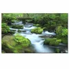 Forest Stream Print on Canvas - Gallery Wrapped Canvas - Modern Home Office Decoration Rainforest Wall Art