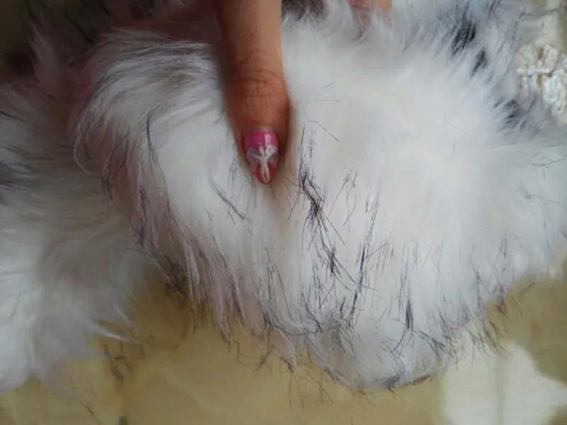 UTB8Lt6BcYPJXKJkSafSq6yqUXXaN