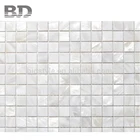 Seashell Floor Tile/ Mother Of Pearl Shell Mosaic/ Mosaic Shell