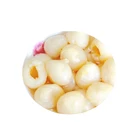 Canned Whole Fresh Lychee litchi hot selling