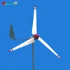 Small windmill 300W,maintenance free,suitable for street light