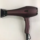 Oem hair dryer low radiation body best Ionic ceramic hair dryer