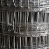 hexagonal wire mesh/chicken poultry wire mesh