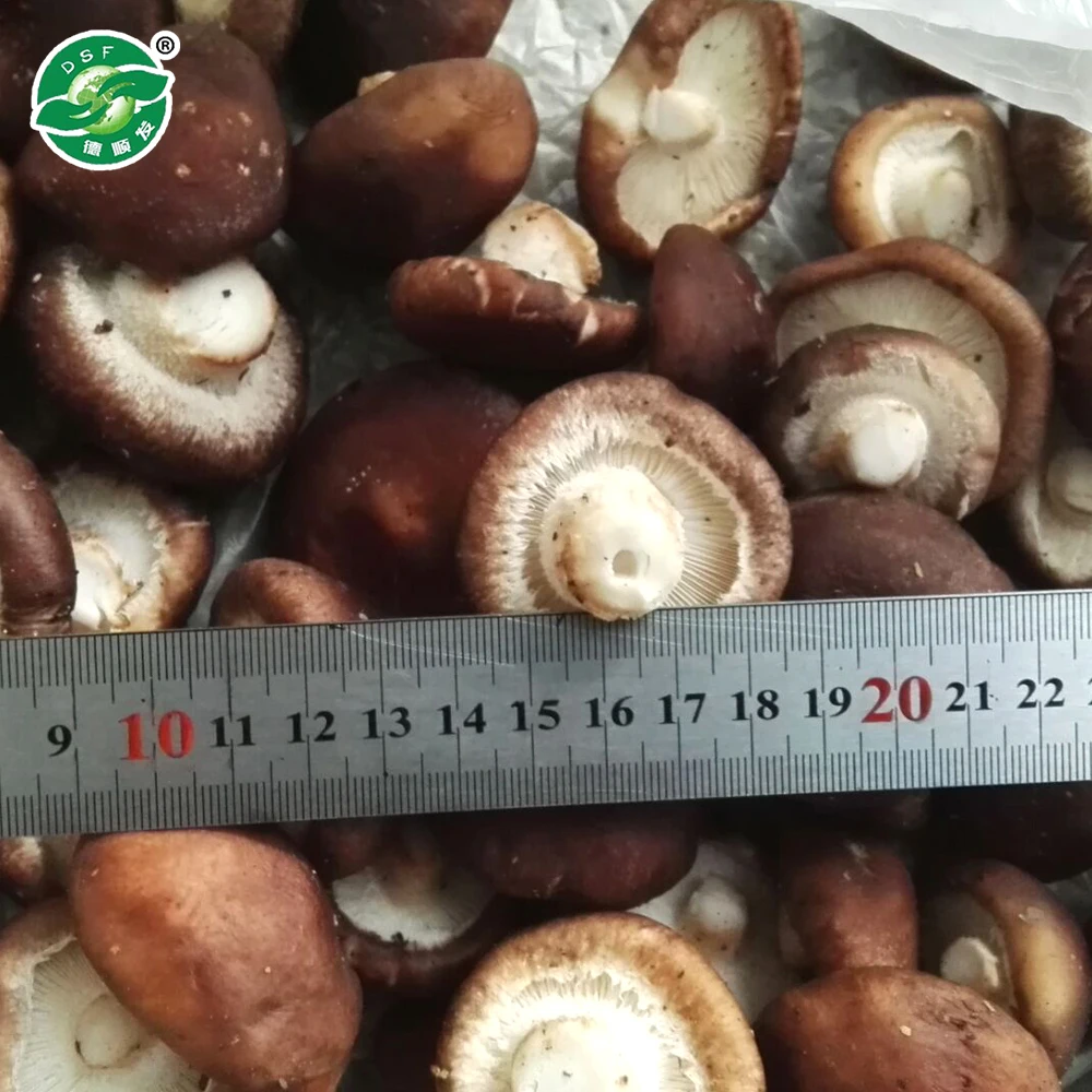 Long-term delicious frozen vegetable fresh shiitake mushrooms