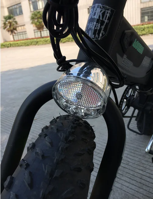 Laifu-front light1.jpg