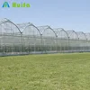 /product-detail/farming-used-cheap-sawtooth-tropical-greenhouse-60596188254.html
