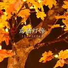 Holiday Outdoor Decoration China Manufacturer Outdoor And Indoor Christmas Decoration Led Holiday Light