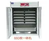 China factory price 1000 eggs automatic chicken egg incubator for sale