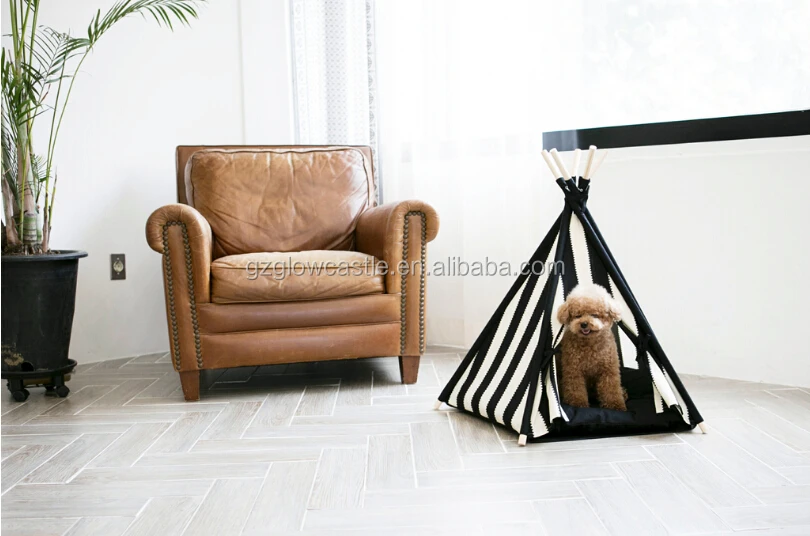 pet tent (2).jpg