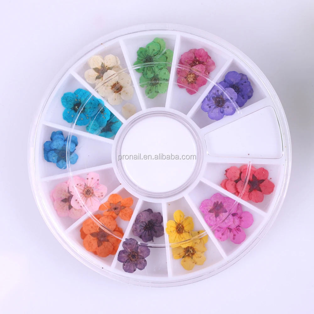 Ready To Ship Natural 3D 12 colors Nail Art Decoration Dry Flowers, 12 colors nail art dry flower
Ready To Ship Natural 3D 12 colors Nail Art Decoration Dry Flowers, 12 colors nail art dry flower