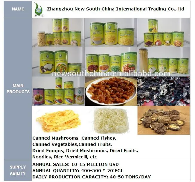 company information.jpg