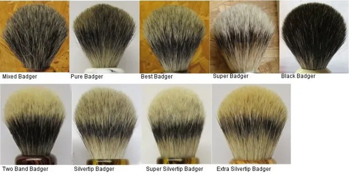 k1-allbadger_