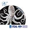 /product-detail/seafood-frozen-long-leg-octopus-price-octopus-variabilis--60717867909.html