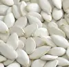 /product-detail/snow-white-pumpkin-seeds-540032295.html