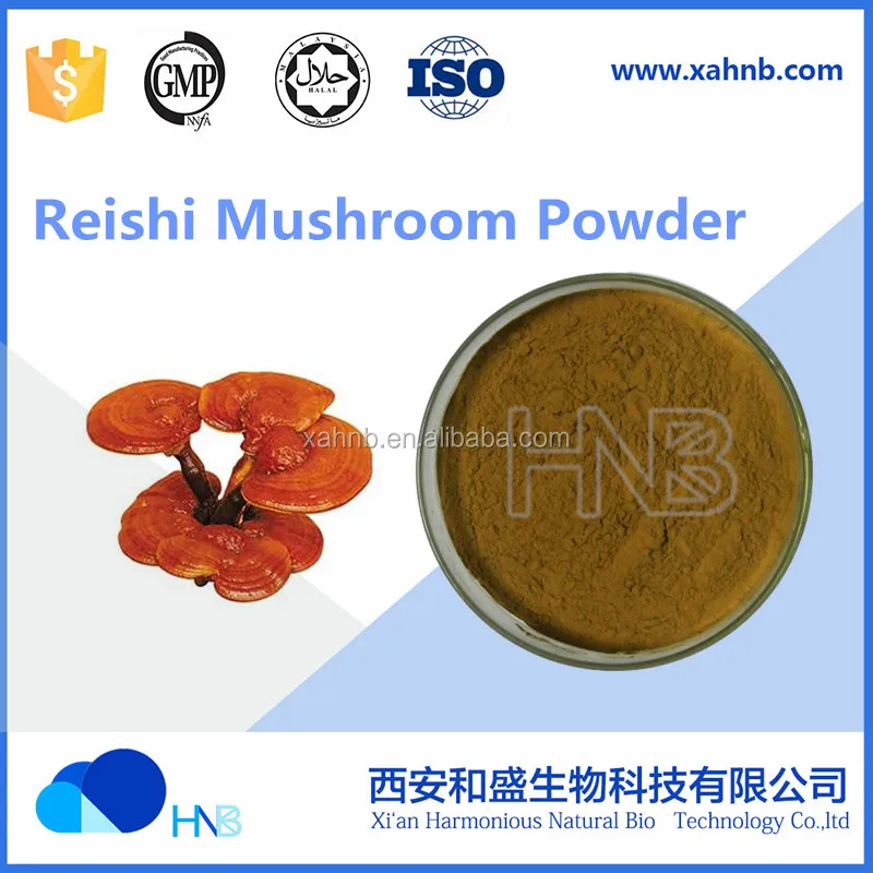 cell cracked ganodorma lucidum spore powder reishi mushroom