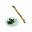 Super High Quality Yummy Pencil Chocolate Jam