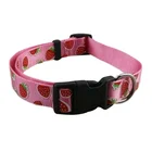 new design custom silkscreen printed nylon pet dog collar