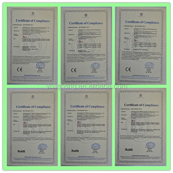 certificate.jpg