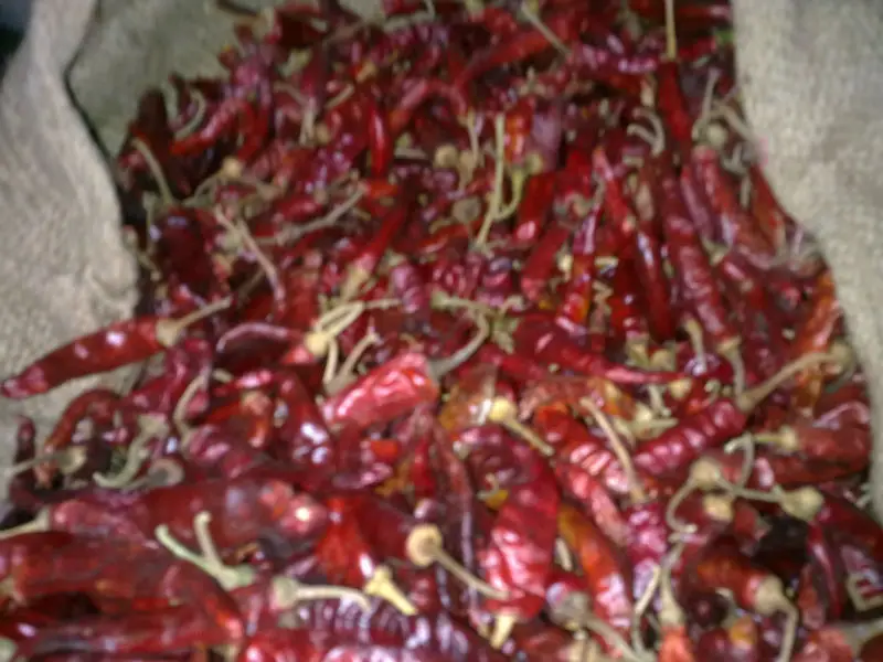 EXPORTER OF INDIAN FRUITS, APPLE ORANGE PINE APPLE PASSION FRUIT PAPAYA BANANA GRAPES POMEGRANATE MANGO LIME SUPPLIER TODAY RATE