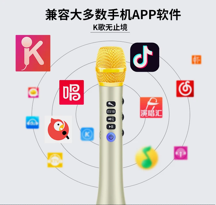 Professional DSP sound chipset ,Karaoke Microphone wireless BT speaker Family KTV L698DSP 20W Loud speaker - ANKUX.COM
