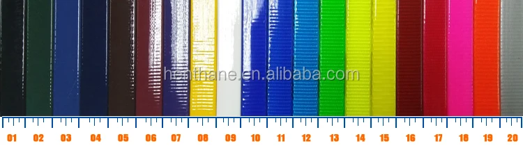 Colorful polyester strap ,TPU coated nylon webbing