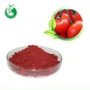 Factory wholesale tomato skin extract lycopene
