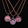 /product-detail/dandelion-clover-dry-flower-pendant-necklace-glass-ball-plant-specimen-necklace-women-jewelry-transparent-sphere-60829798643.html