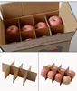Customized Industrial Packing paper indian custard kashmir fruit carton box apples