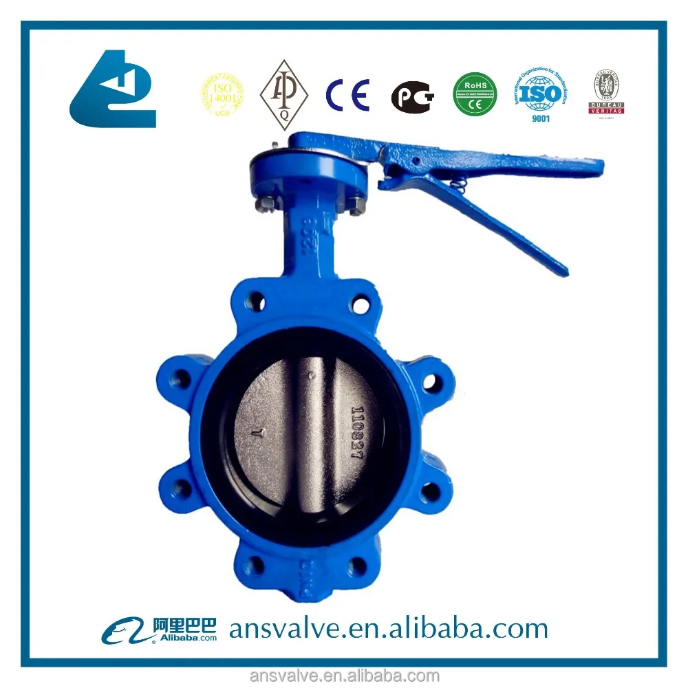 butterfly valves for paint manufacturers
