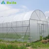 Arch Roof Type Single Span Commercial Greenhouse Customized