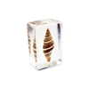 Rugose Miter Sea Shell Paperweight Resin Craft Gifts