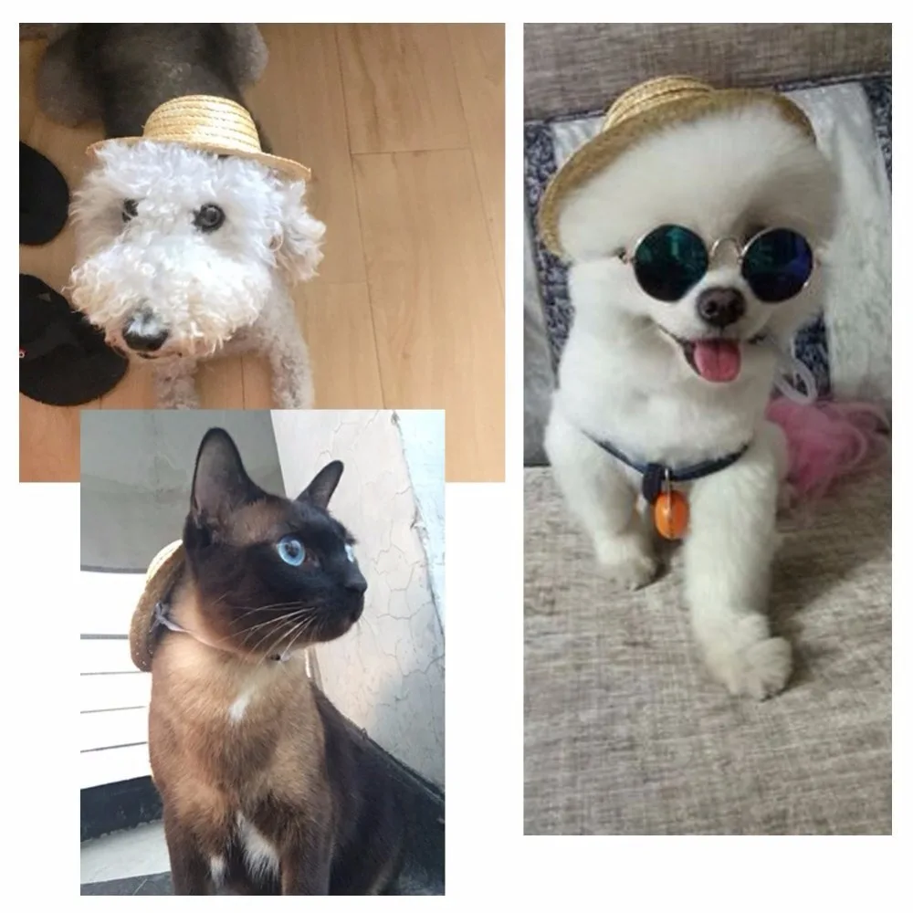 61oC6XvthZL._SL1001_