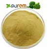 Broccoli Sprout Extract Powder 10:1 20:1