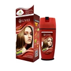Private Label 2019 New Magic Hot Selling Popular Best Quality Black Dye Hair Matt Green Hair Color Mousse
