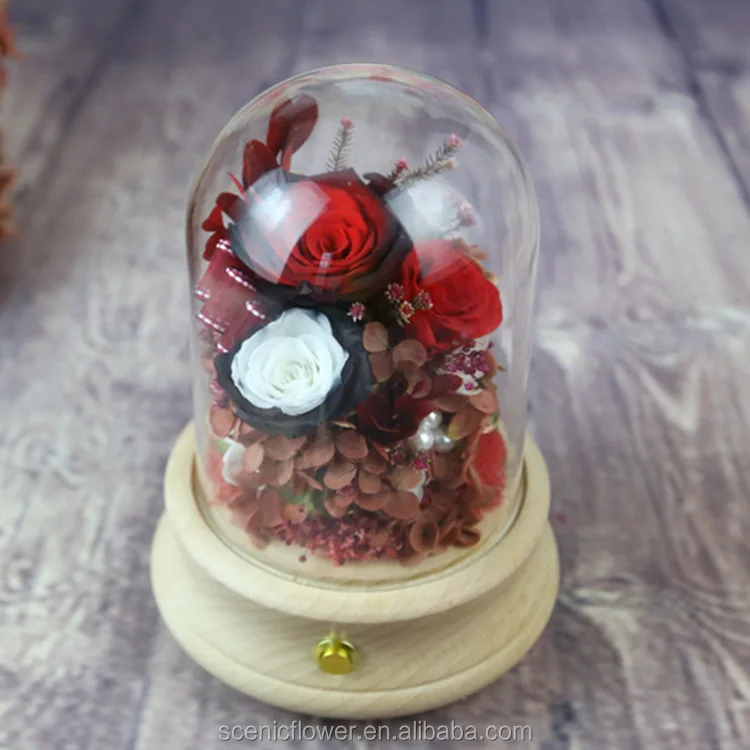 unique valentines gifts preserved rose flower in glass dome with