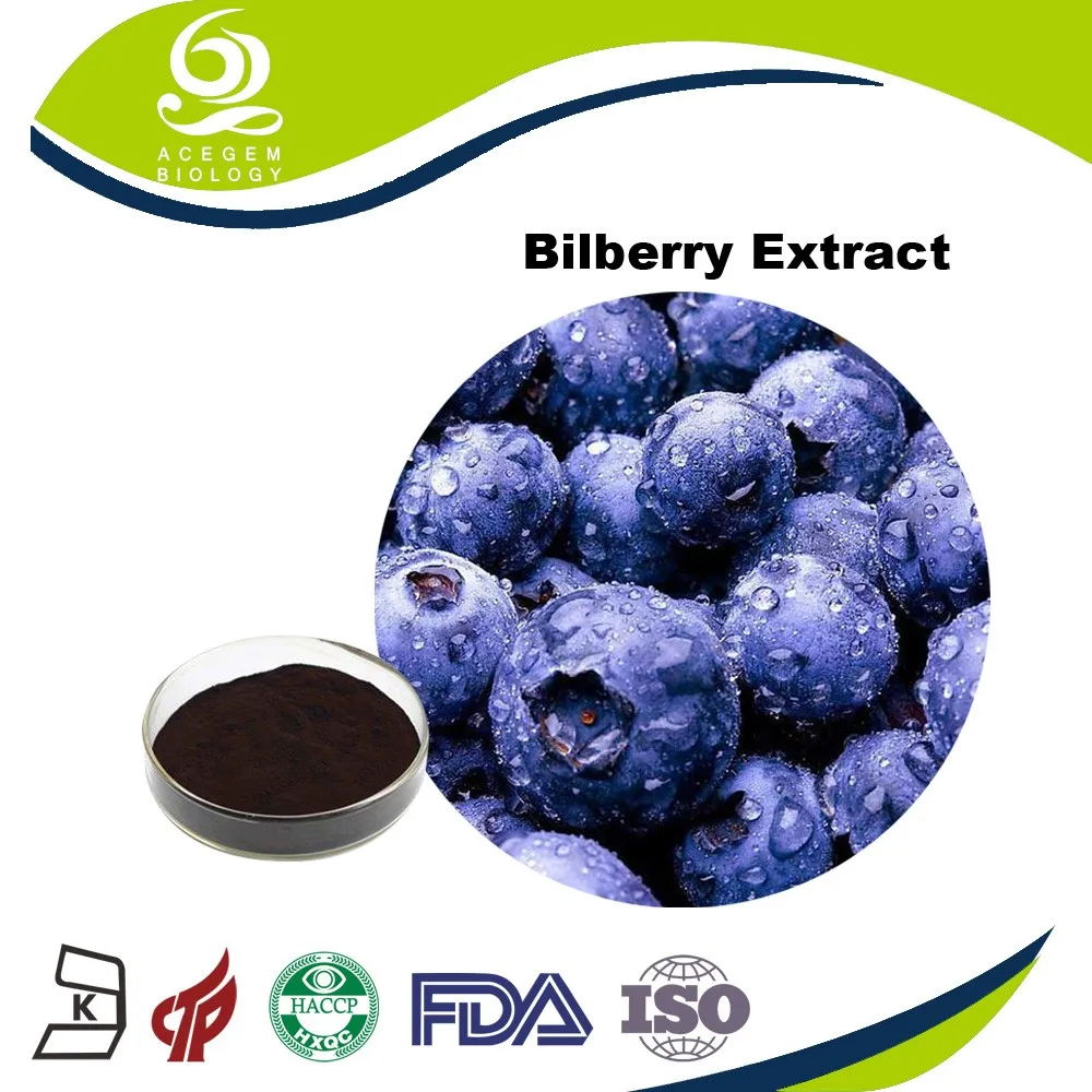 Health benefits eye protection bilberry fruit powder/bilberry extract