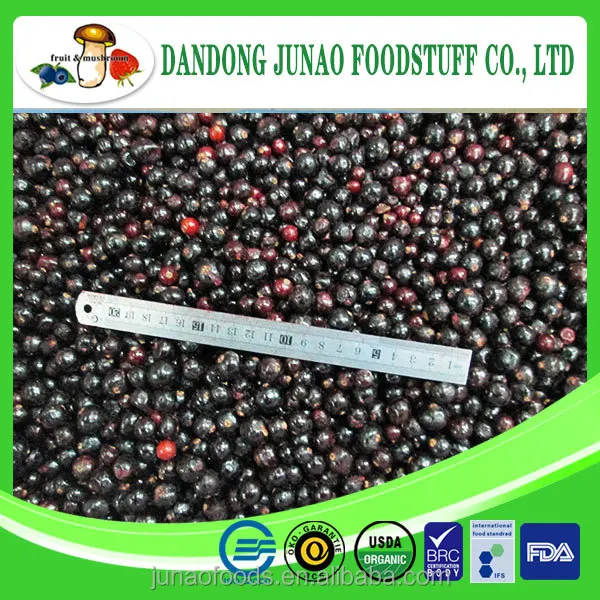 best selling natural black currant juice with competitive price