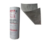 Moisture Proof PP PE Waterproofing Damp Proof Course Polypropylene Sheet