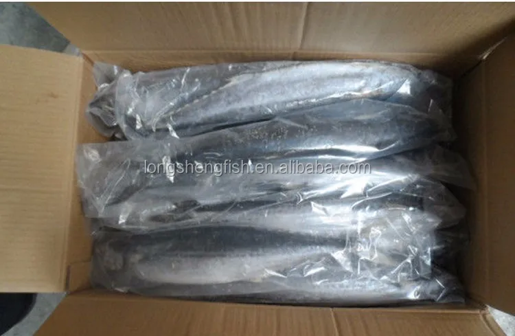 high quality fish frozen spanish mackerel for sale