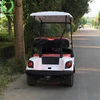 /product-detail/single-seater-or-2-seaters-electric-golf-cart-60818275734.html