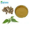 Third Party Inspection Service Organic Nettle Root Extract Powder